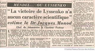 Illustration for article titled Ne mozdulj és ne mondj semmit! – Ullmann Ágnes története a Cinken